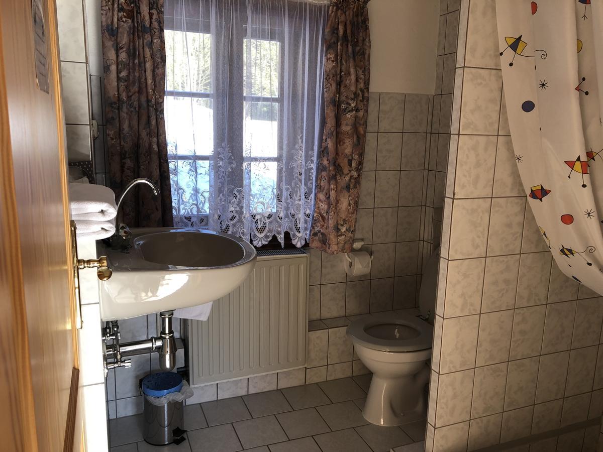 Pension Untere Rauner Muehle Bad Brambach Exterior photo